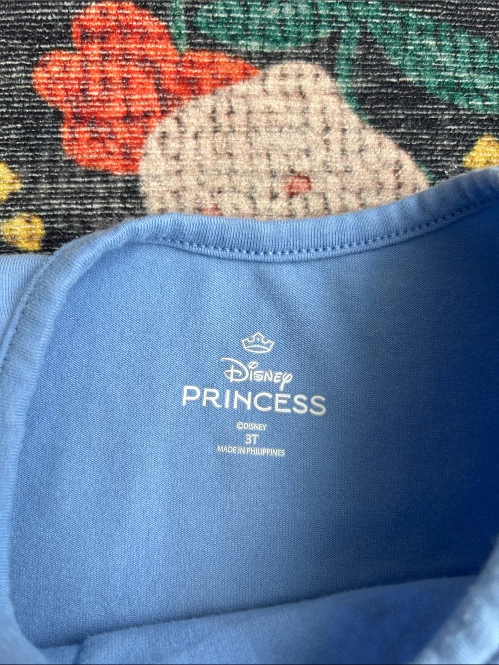 Disney cinderella short